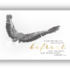 M59 »Befreit / Adler« Postkarte